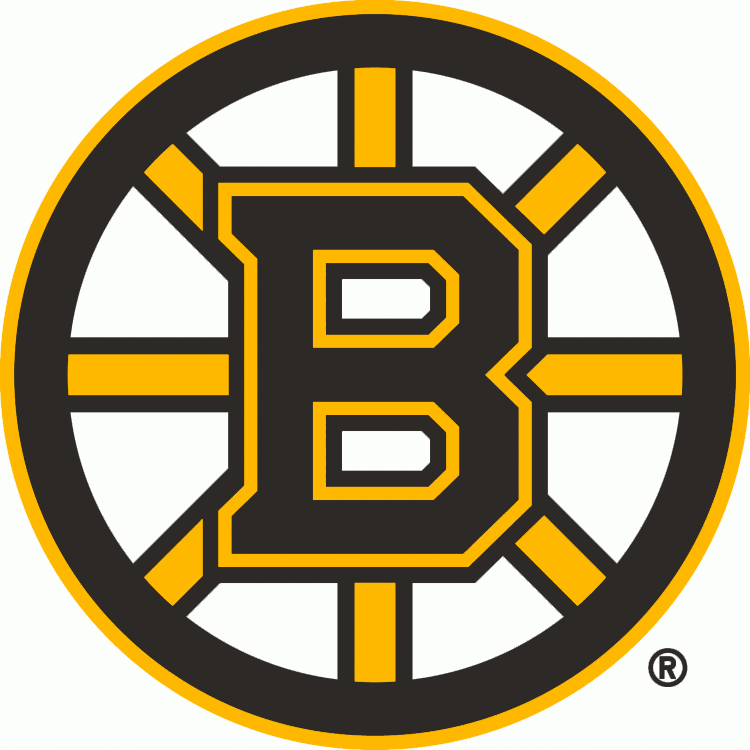 Boston Bruins 2007-Pres Primary Logo t shirts iron on transfers